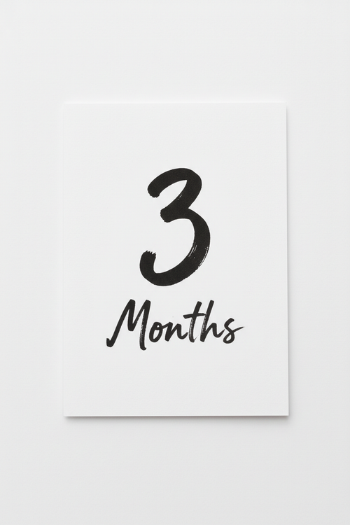 3 Months Access