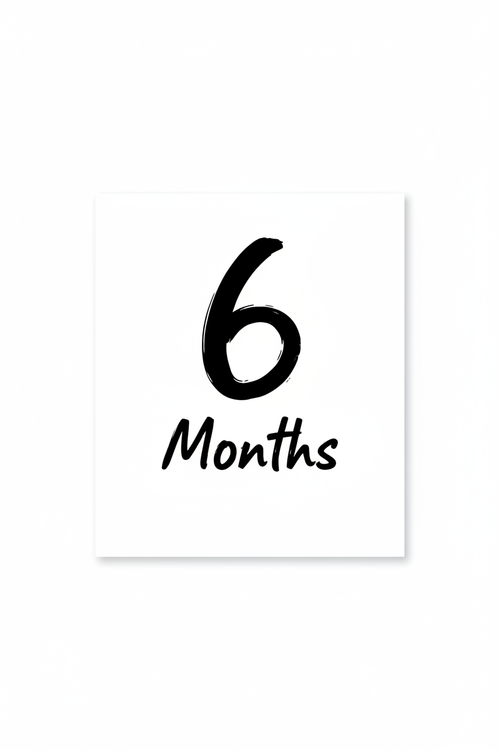 6 Months Access